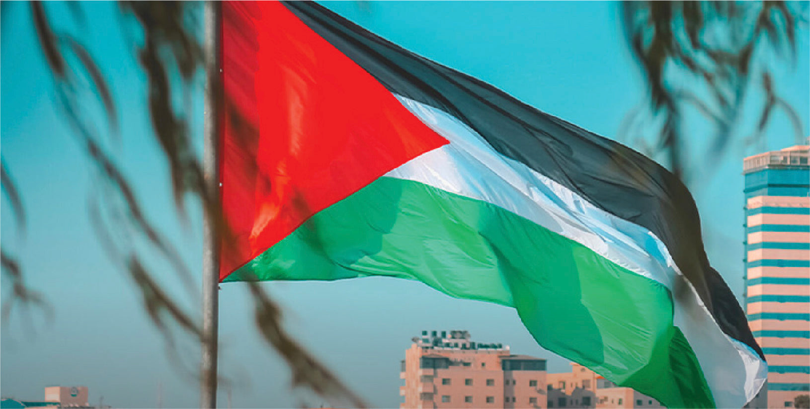 Palestine banner