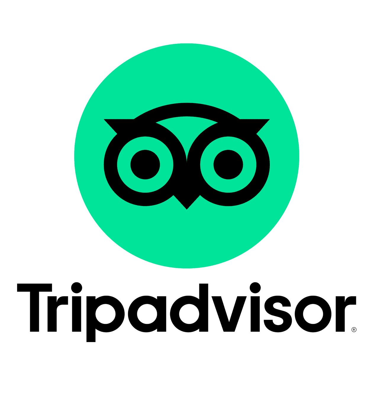 Tripadvisor-Logo