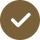 Check icon